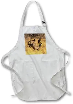 3dRose USA, New Mexico,Wildlife Refuge. Female mule deer in grassy field. - Aprons (apr-380941)