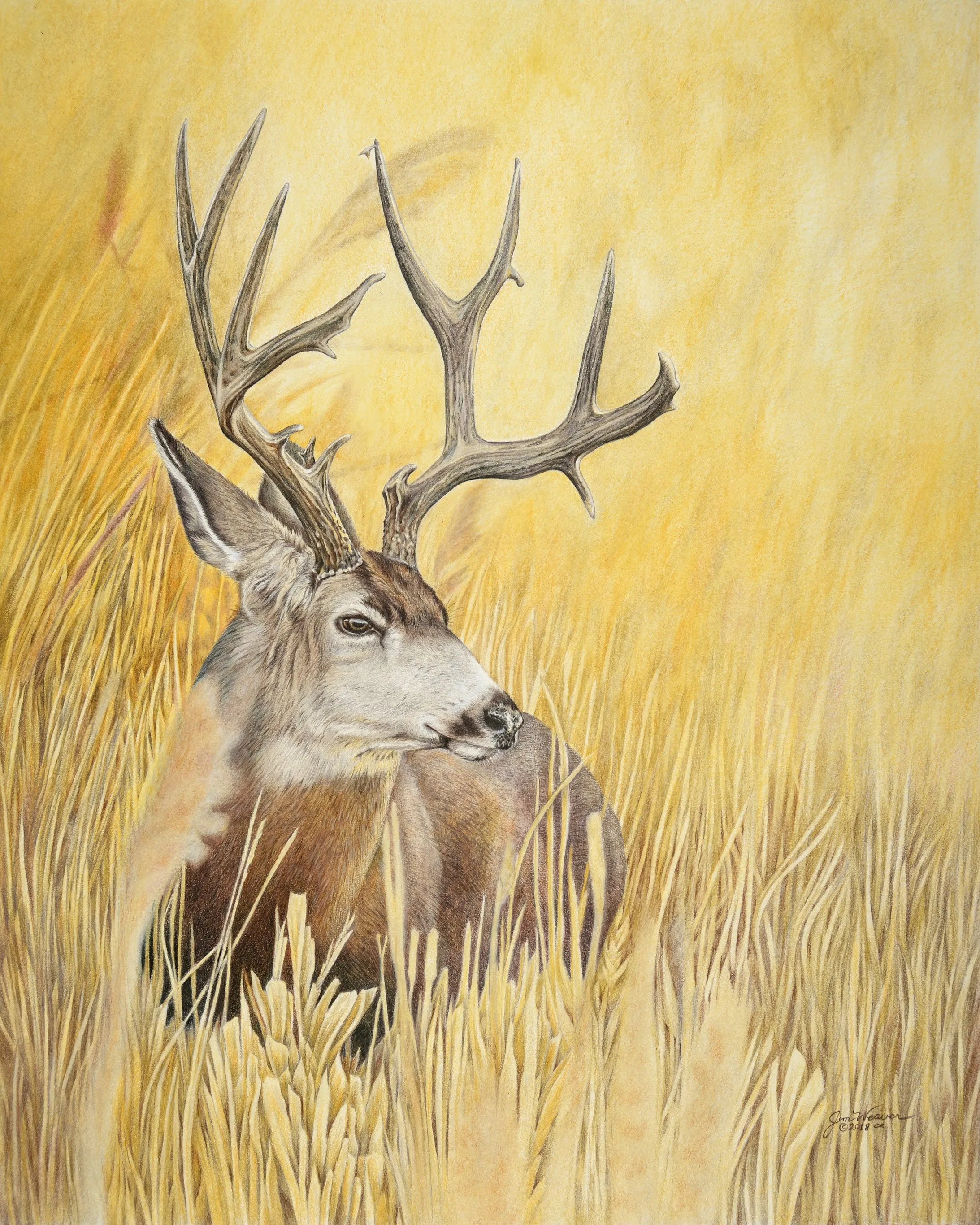 “Autumn Gold” PRINTS