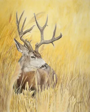 “Autumn Gold” PRINTS
