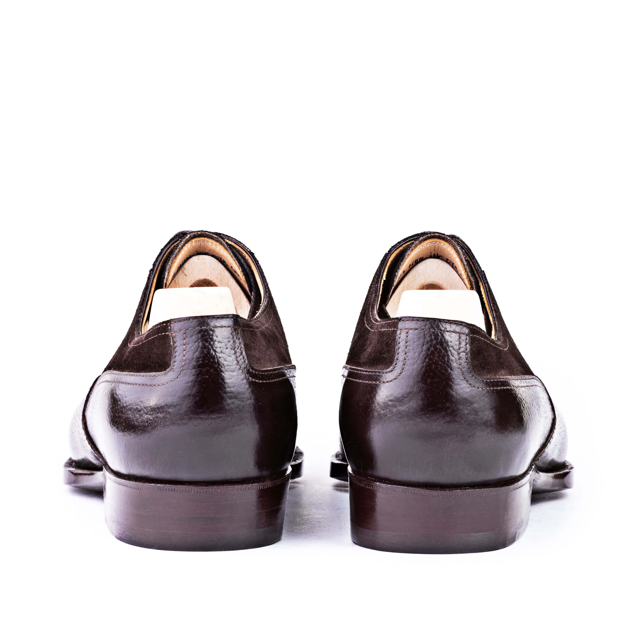 Long wing Oxford