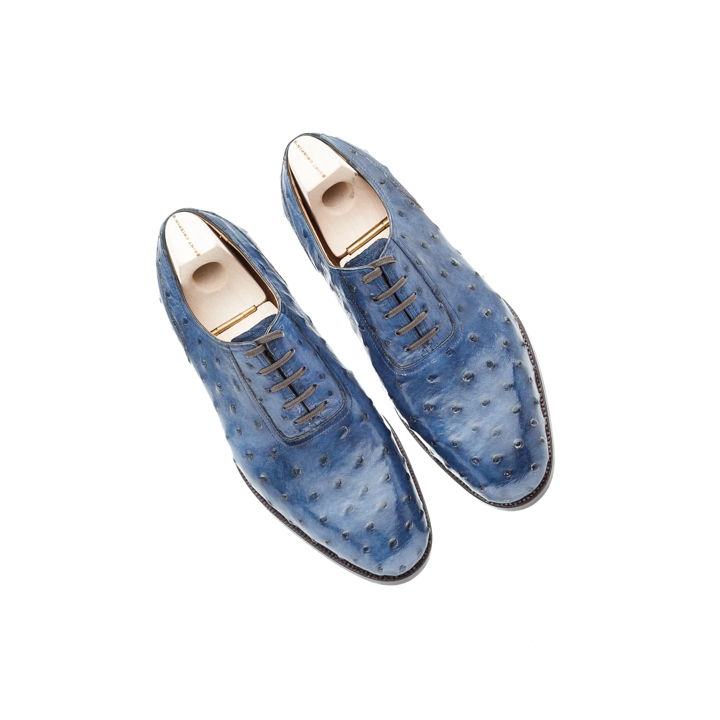 Oxford, plain sewn and straight toe box in blue Ostrich